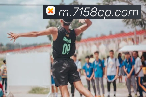 中彩网服务体系